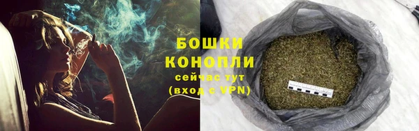 гидра Волосово