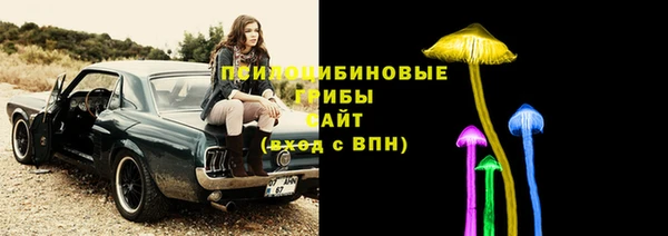 mdpv Вяземский