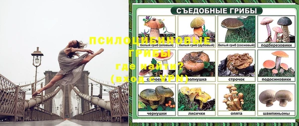 mdpv Вяземский