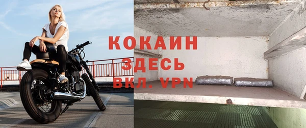 гидра Волосово