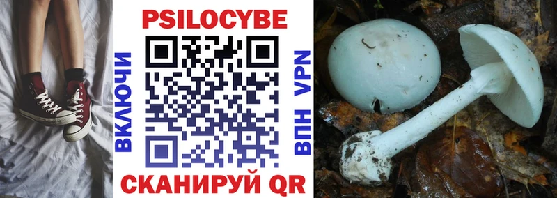 Псилоцибиновые грибы MAGIC MUSHROOMS  Ипатово 